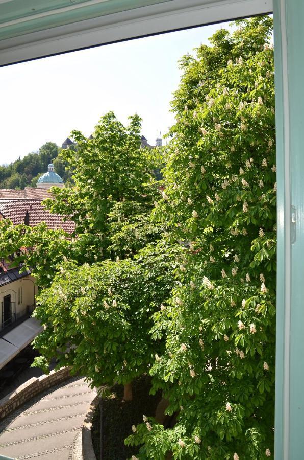 i Design Studio Ljubljana Eksteriør billede